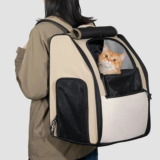 First Class Travel Backpack